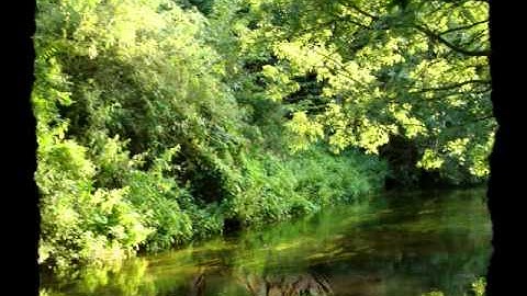 Country Life (I Like to Rise) - Folly Bridge