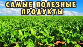 Самые полезные продукты