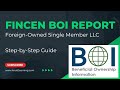 How to file boi report with fincen  example for single member llc