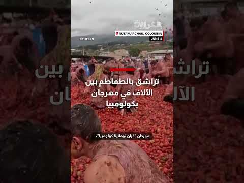 احتفال توماتينا كولومبيا يكرّم اقتصاد إنتاج الطماطم