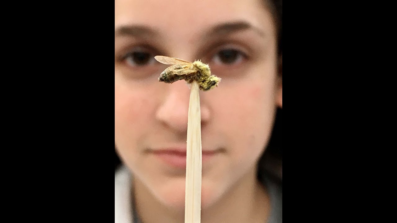 newspaper Choctaw students learn genetics through pollination project