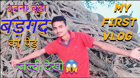 MY FIRST VLOG🙏|इतना बड़ा बड़गद  का पेड़ #myfirstvlog #myfirstvlogviral @souravjvlogs