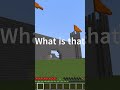 That one ultra rich guy #minecraft #shorts