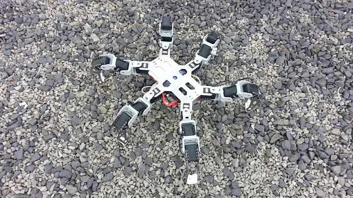 HexorV3 - test, wave gait, gravel