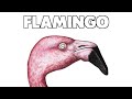 trying to make kero kero bonito flamingo using flamingo sounds