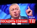 Владимир Жириновский требует посадить Ксению Собчак в тюрьму