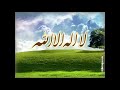 أناشيد مجموعة بدر 2011 قصدت باب الرجاء 