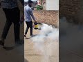 Video Image