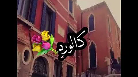 انتي كلمات عذبة اجمل كلمة