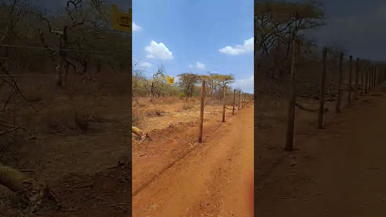 Professionall Installed Farm Electric Fences