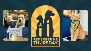 Remember Me Thursday® 2023 shines a light on orphan pets worldwide by Helen Woodward Animal Center 83 views 6 months ago 2 minutes, 54 seconds