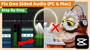 Fix Audio Playing On One Side | CapCut PC Tutorial