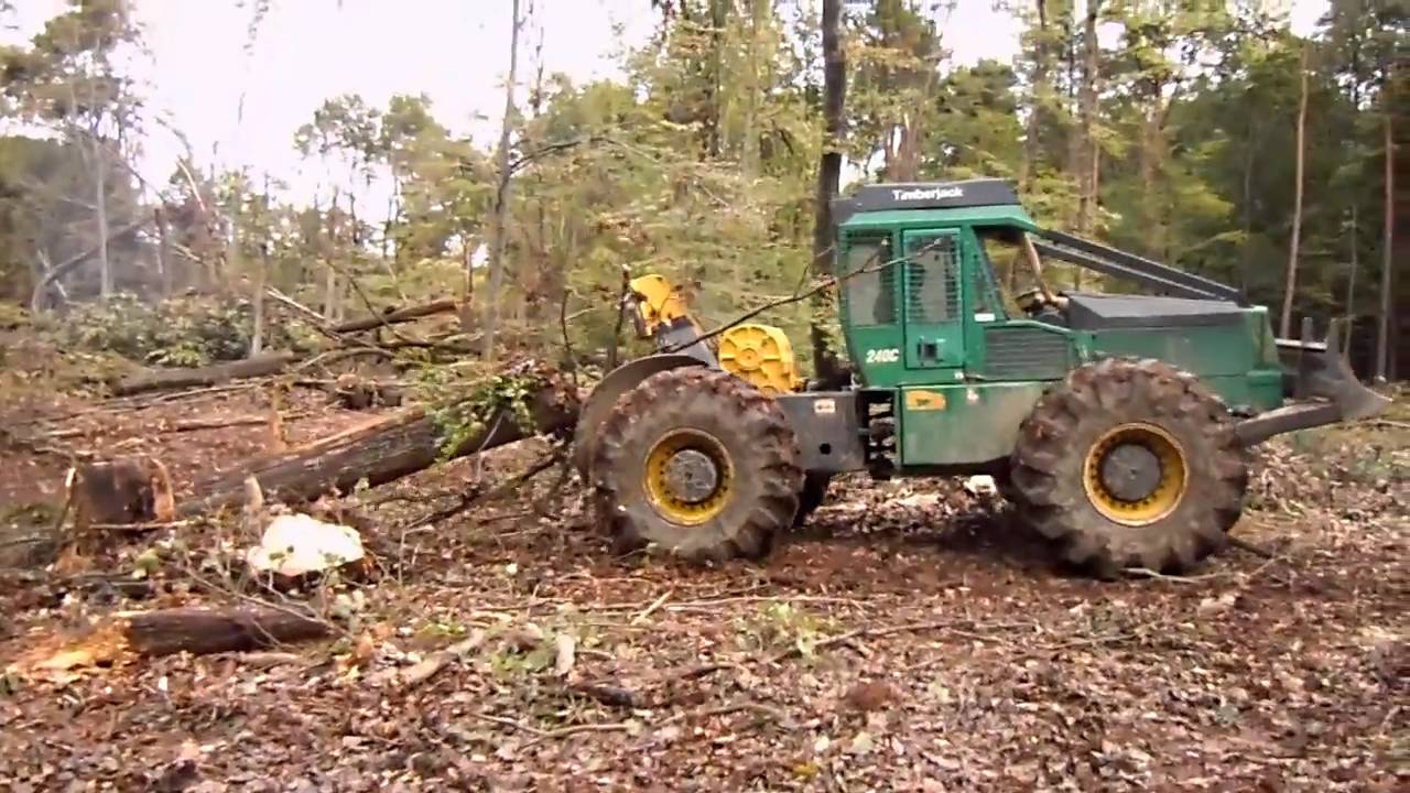 Timberjack Timberjack