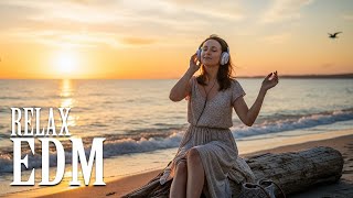 【EDM Relax 】Soft Beats That Touch the Soul 🎧 Chill Lo-Fi Vibes | Focus / Study / Relax Playlist