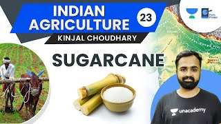 L23: Cash Crops Of India  Sugarcane | Climatic Conditions | SSI | Co0238| FRP | Kinjal Choudhary