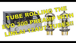 Tube Rolling the Primaluna Evo 300 Preamplifier with Linlai 12AU7 Tubes! How Do They Sound So Far??