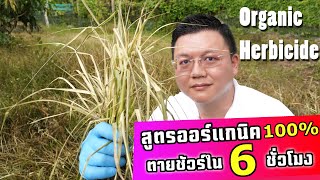 ตายชัวร์ใน 6 ชั่วโมง! "ยาฆ่าหญ้า" ออร์แกนิค สูตรเผาไหม้ แรง! แต่ปลอดภัย Herbitech : Daddy's Tips