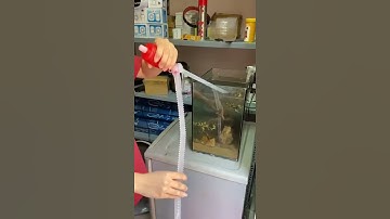 Dụng cụ hút xăng dầu chất lỏng bóp tay tiện dụng nhỏ gọn