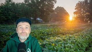 Half of All Life on Earth is Above You + Inside My Harvest Stations