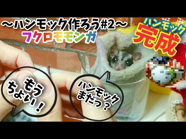 完成】フクロモモンガに手作りハンモック作っていこうぜっ！！【#2