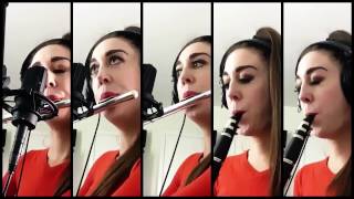 Wow-Finding Nemo Woodwind Cover
