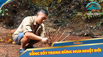 SỐNG SÓT TRONG RỪNG MƯA NHIỆT ĐỚI – PHẦN 1