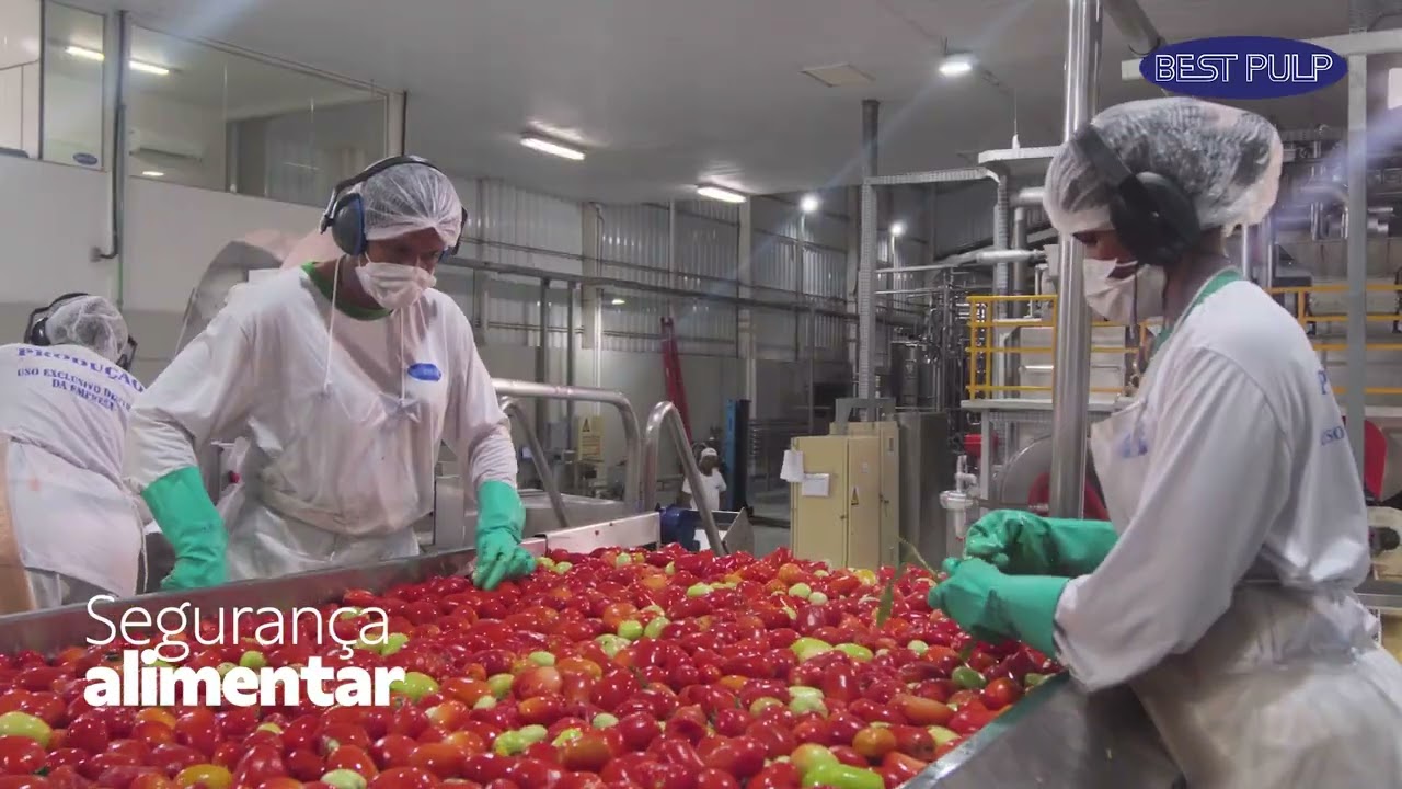 Vídeo Institucional Best Pulp