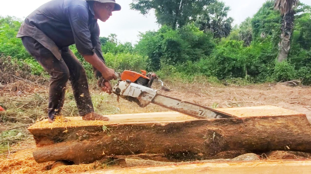 Incredible Cutting with Chainsaw Assembled Ingenious Woodworking Techniques Activity wood