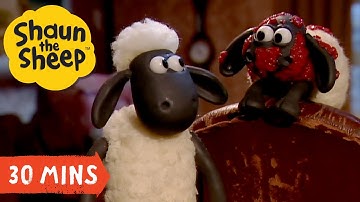 Best Of Shaun the Sheep S1 ⭐ 30 MIN Compilation