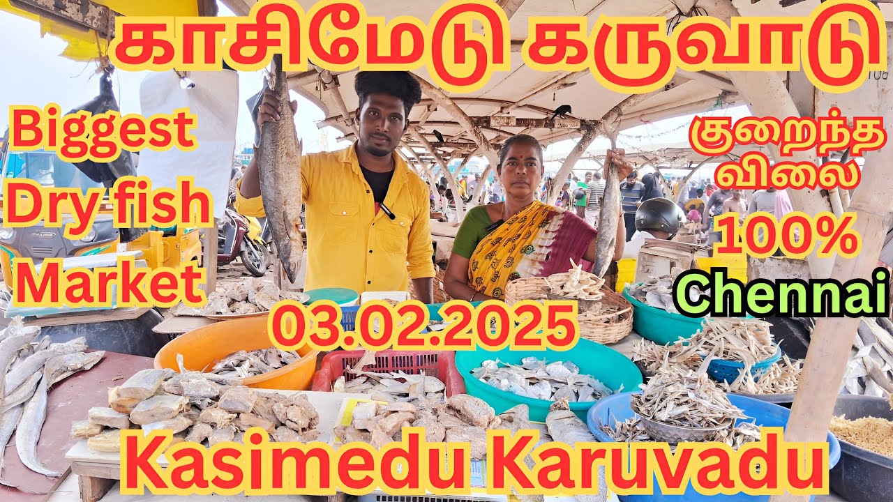 💥🐠 காசிமேடு கருவாடு | Chennai Karuvadu | Kasimedu Dry Fish | Wholesale  Karuvadu 