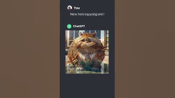 ChatGPT Creates Hilarious Cat Adventures! #FunnyCats #cat #ai #catlovers