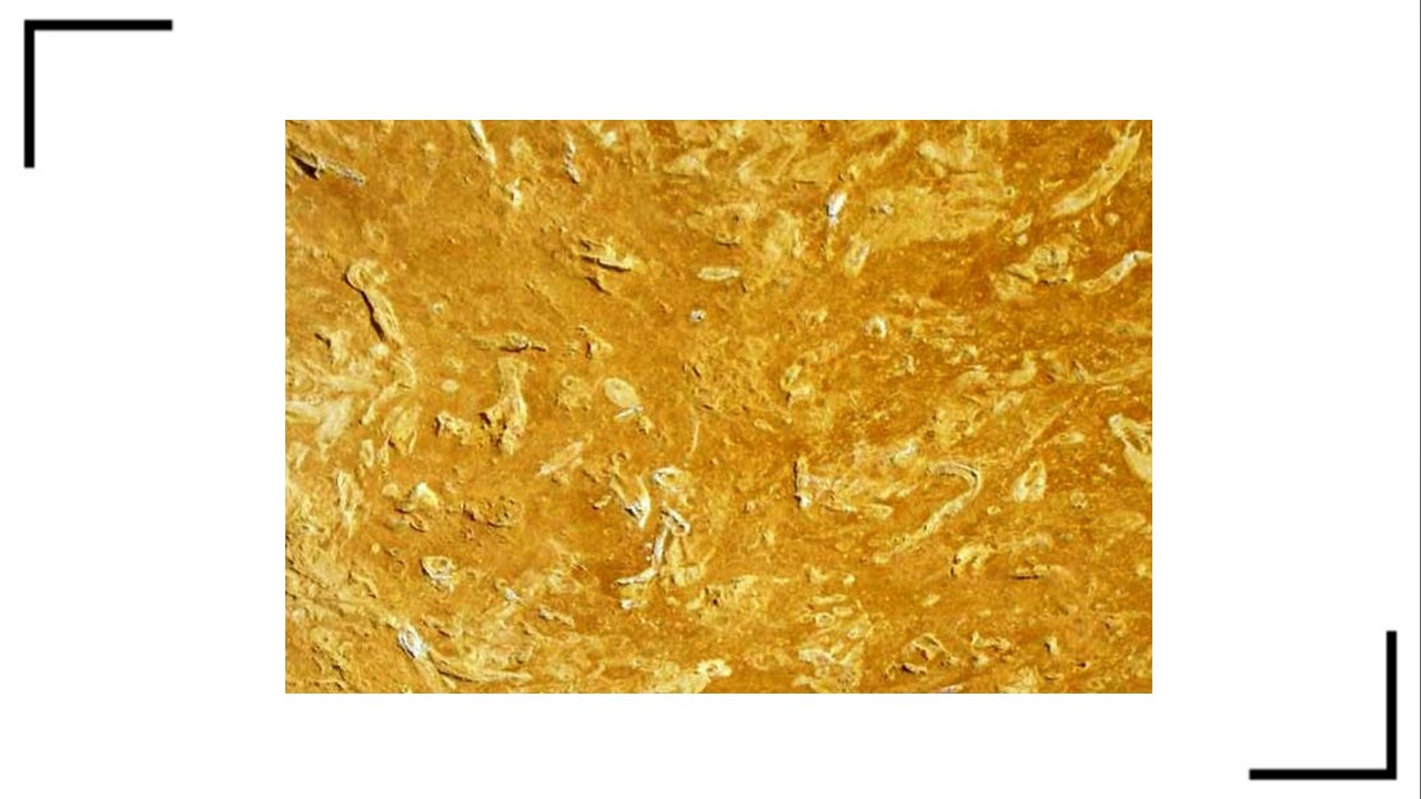 Flowery Gold Sandstone Tiles and Slab for Flooring and Wall Cladding by RK Marbles India