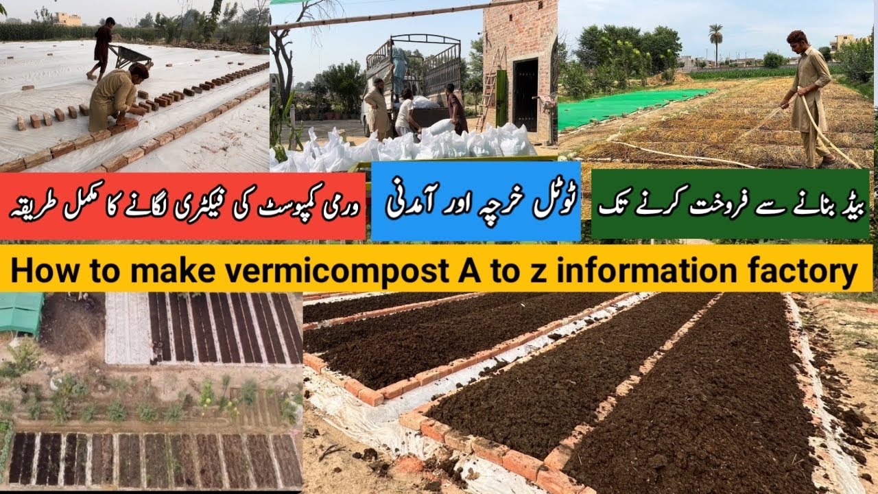 How to make bed making cow dung treatment harvesting