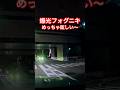 爆光フォグニキ　めっちゃ眩しい〜　#ドラレコ #automobile #DQN #プリウス