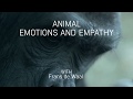 Animal emotions and empathy with Frans de Waal