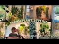 My Fave Ways To Style Houseplants рџЊїрџЏЎ Cozy Indoor Jungle Vibes My Fave Ways To Style Houseplants рџЊїрџЏЎ Cozy Indoor Jungle Vibes