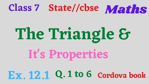 Class 7 Maths The Triangle And It