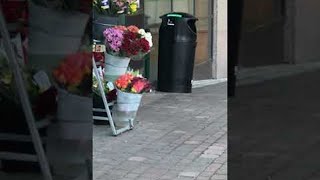 Shoplifting Seagull Steals a Meal || ViralHog