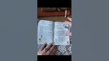 EDC Pocket Notebook Flip Through 2025 | Everyday Carry Journal Setup & Pages So Far!