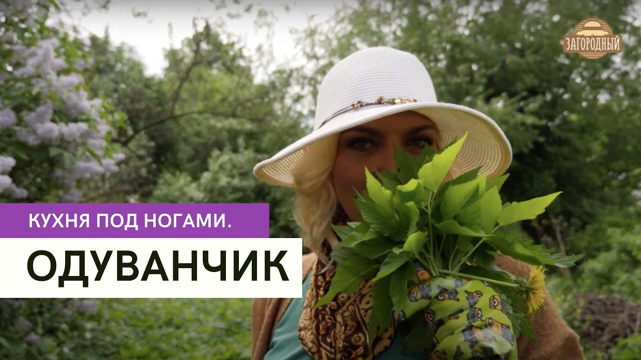 Одуванчик \ Кухня под ногами