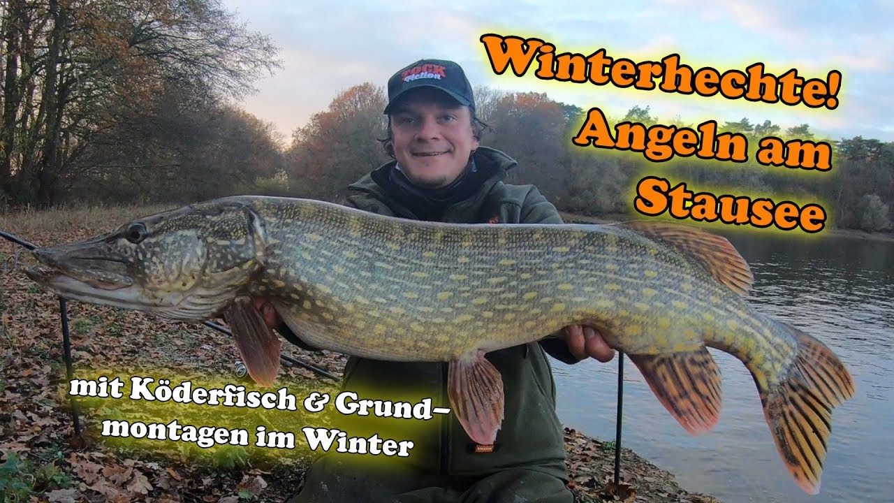 Winterhechte! Angeln am Stausee auf Hecht im Winter mit Köderfisch