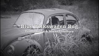 Blue Volkswagen Bug screenshot 5