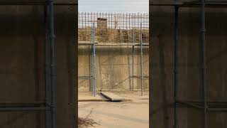 #Concrete #finishing #after #deshuttering #construction #site #jsw #rohanbuilders