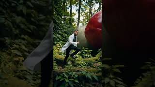 When An Apple A Day Takes Its Job Way Too Seriously