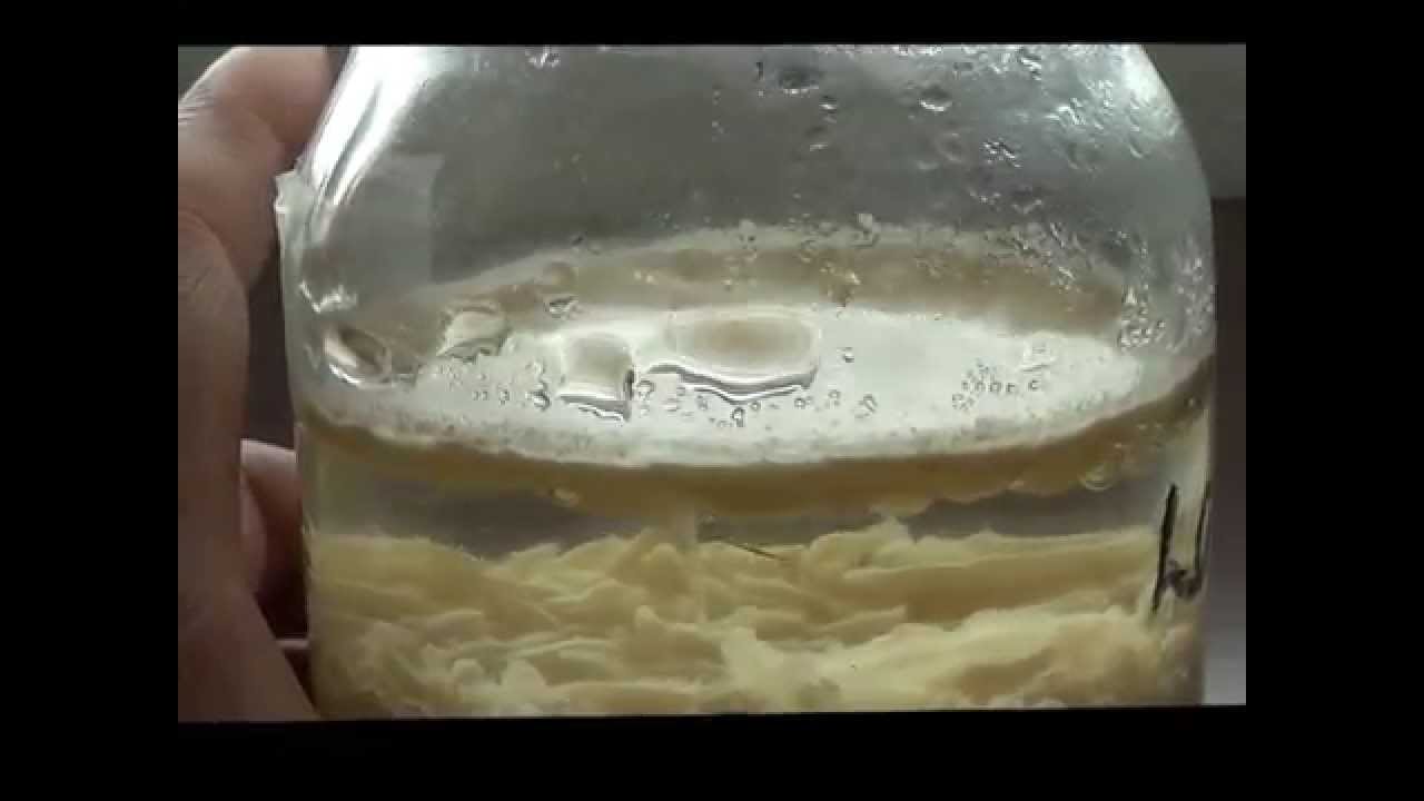 Day 103 Water Experiment Changing Negativity Using Positive Words YouTube