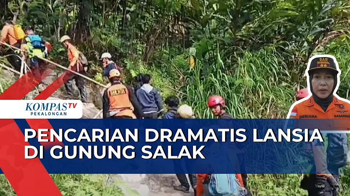 Misteri Gunung Salak: Tim SAR Ungkap Kronologi Hilangnya Lansia & Perkembangan Pencarian