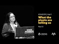 Vera Fróes Fernandes | What the Plants Are Telling Us