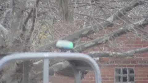 Narva Optimax Amber Halogen Rotating Beacon + ECCO EB7185 Series D/C LED Strobe/Rotating Beacon #1