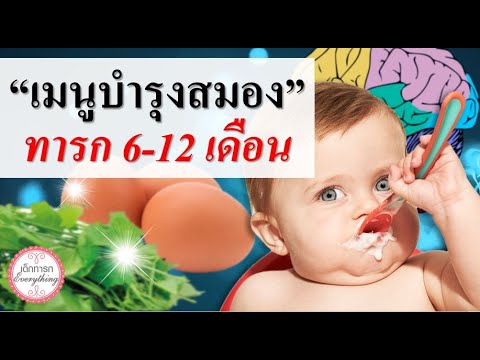 อาหารเด็กทารก : รวมเมนูบำรุงสมองทารก 6-12 เดือน |  อาหารบำรุงสมองทารก | เด็กทารก Everything