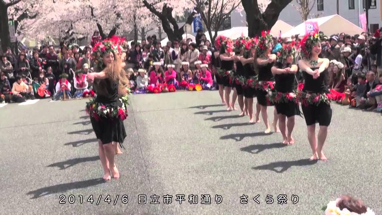 日立さくらまつり In 14 Youtube 日立さくらまつり In 14 Youtube